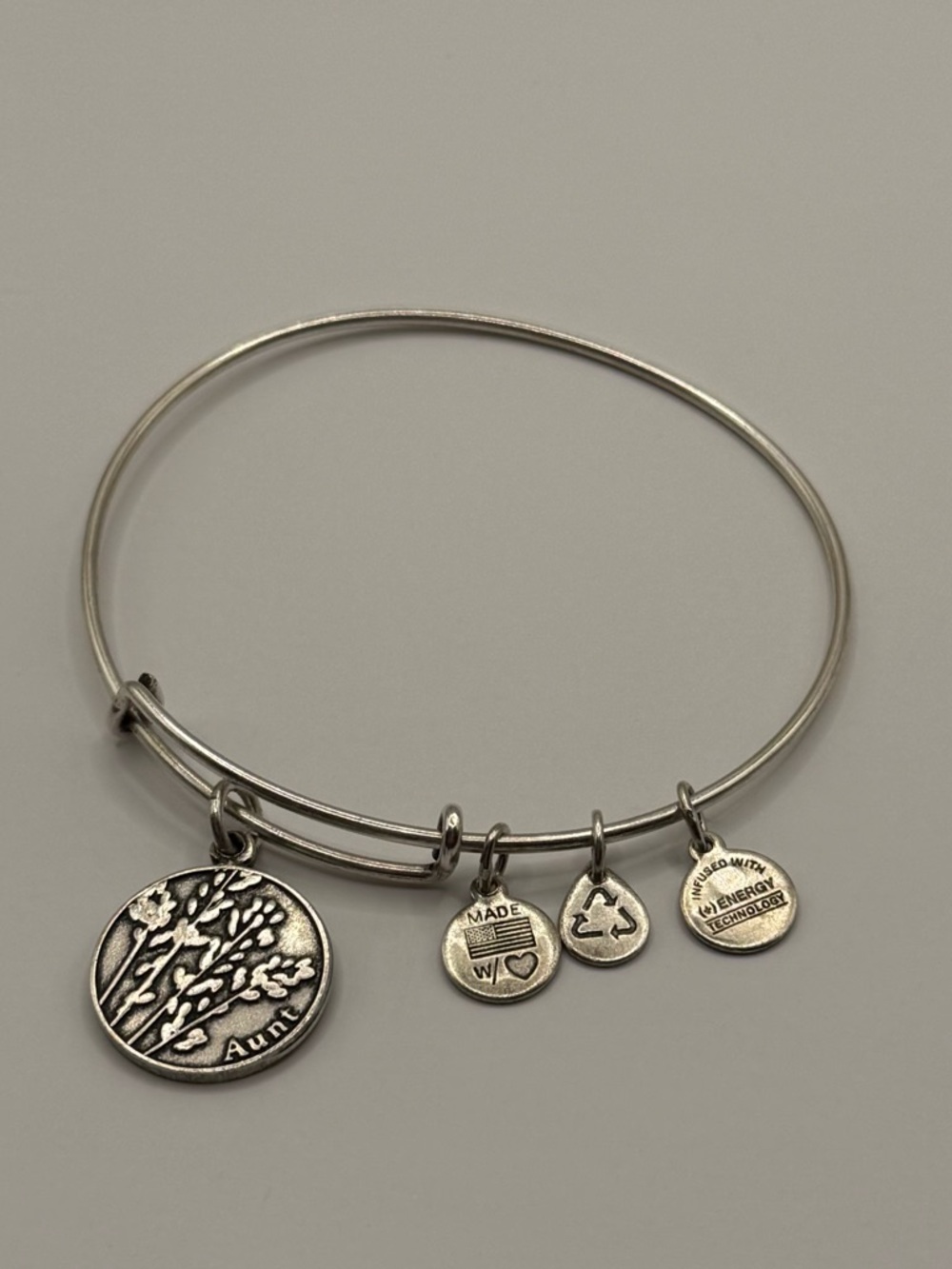 Alex and Ani Aunt Charm Bangle Bracelet Silver Tone